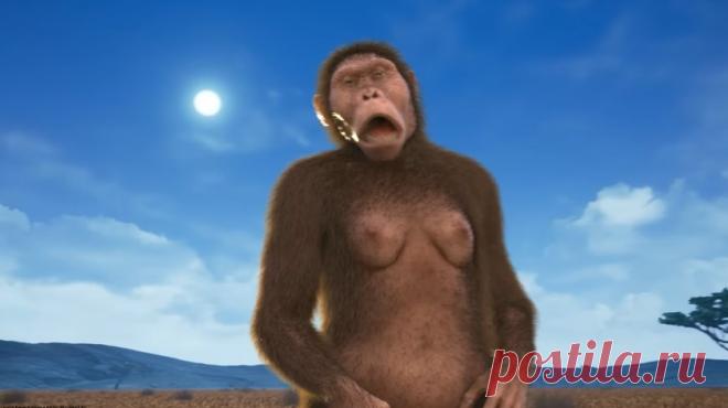 10 миллионов лет эволюции в восьми минутах (видео) 
Мультфильм Сергея Кривоплясова и antropogenez.ru при поддержке Студии Дмитрия Пучкова 