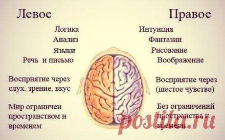 Когда мы молоды, мир кажется нам очаровательным местом, заполненным чудесами, бесконечными открытиями и проблемами.
Наш мозг принимает и обрабатывает бесчисленное количество информации в короткие промежутки времени.Пик умственной активности приходится примерно на 25 лет, однако это не означает, что после этого времени наши умственные способности будут только угасать.
Однако, человеческий мозг может продолжать расти и совершенствоваться благодаря специальным упражнениям.
