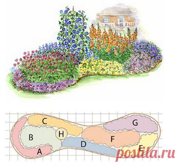 КЛУМБА ИЗ ОДНОЛЕТНИКОВ, НЕ ТРЕБУЮЩАЯ УХОДА.