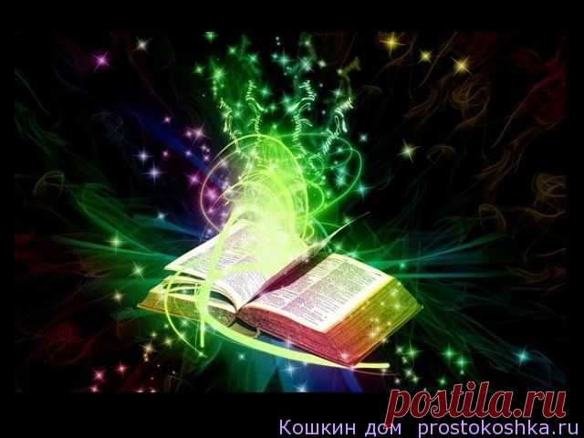 Защитные заговоры | Кошкин дом Наши предки, давно заметили, что существуют определенные предметы, символы, вещи, которые могут оградить нас от всего, что может навредить, нам или нашим близким, нашему физическому или материальному состоянию. Выполняя определенные действия, наговаривая на эти “вещи”, мы получаем оберег. Так же, от определенных действий против человека, чтоб с ним не случилось какой “беды”, раньше широко использовались защитные заговоры. …