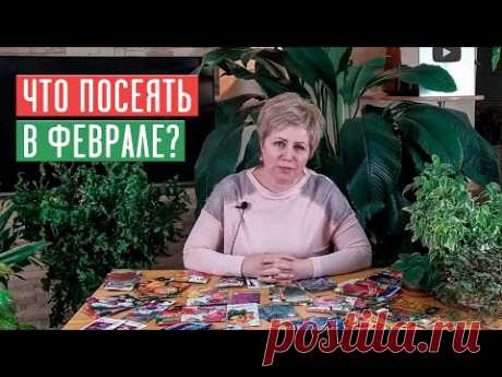 СЕЗОН 2020: ЧТО ПОСЕЯТЬ В ФЕВРАЛЕ: цветы, овощи, ягоды УСЛОВИЯ РОЗЫГРЫША / Садовый гид - YouTube