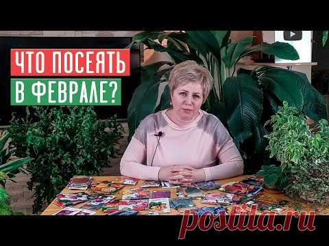 СЕЗОН 2020: ЧТО ПОСЕЯТЬ В ФЕВРАЛЕ: цветы, овощи, ягоды УСЛОВИЯ РОЗЫГРЫША / Садовый гид - YouTube