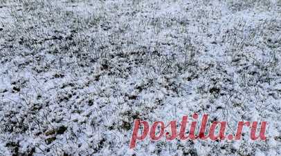 Первый снег прошёл в Петербурге. Ведущий специалист центра погоды «Фобос» Михаил Леус сообщил, что в Санкт-Петербурге выпал первый снег. Читать далее