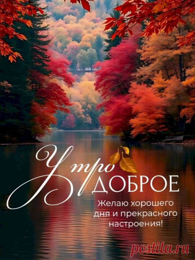 e7db0600.jpg (767×1024)