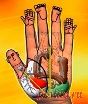 Советы восточной медицины