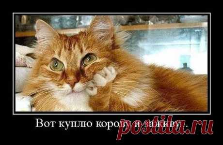 Решил делать всё как надо. Надо - быстро кончилось, а решительность осталась. Пришлось делать как не надо (демотиваторы)