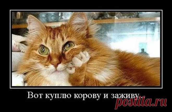 Решил делать всё как надо. Надо - быстро кончилось, а решительность осталась. Пришлось делать как не надо (демотиваторы)