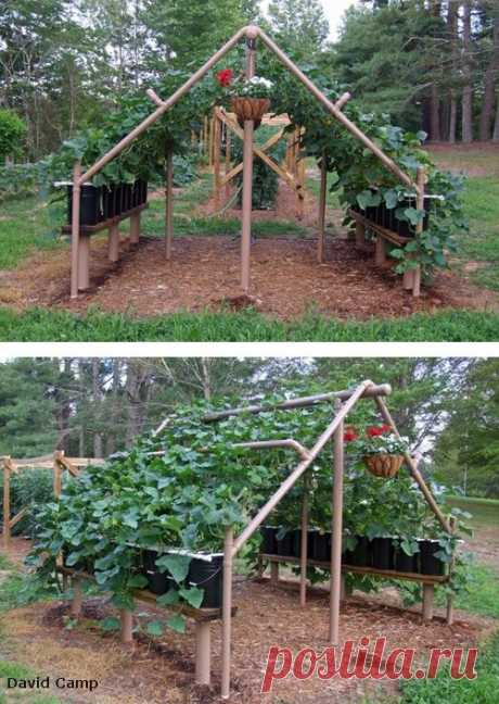 Пластиковый огород: поделки для огорода из пластиковых труб