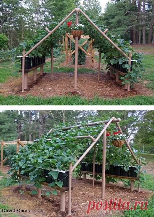 Пластиковый огород: поделки для огорода из пластиковых труб