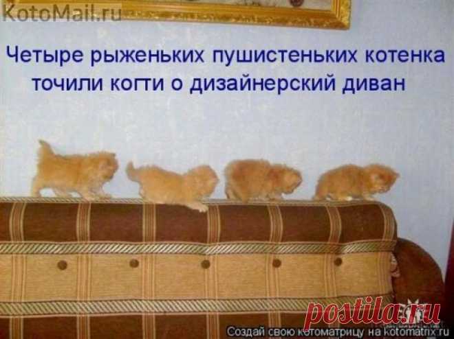 Четыре рыженьких.