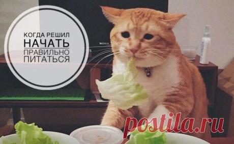 🍋 Всего 3 секрета как убрать большой живот легко и просто | ЛИМОН – для ЗОЖ | Яндекс Дзен