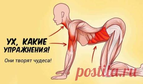 7 упражнений, которые творят чудеса с женским организмом. | Ты настоящая женщина | Яндекс Дзен