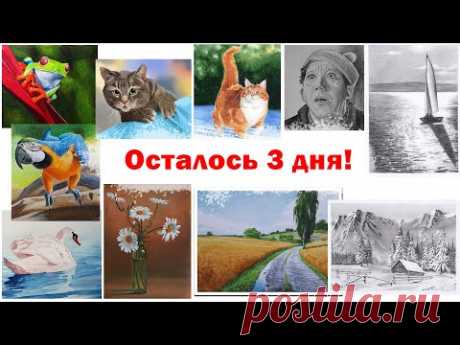 релиз онлайн курса как рисовать животных акварелью и распродажа курсов