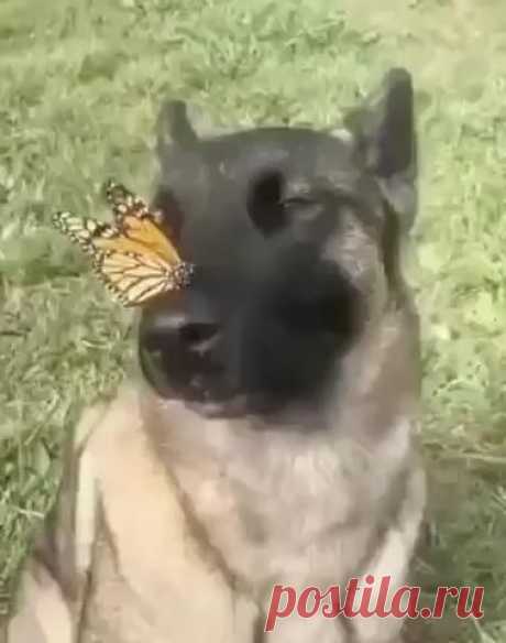 So precious