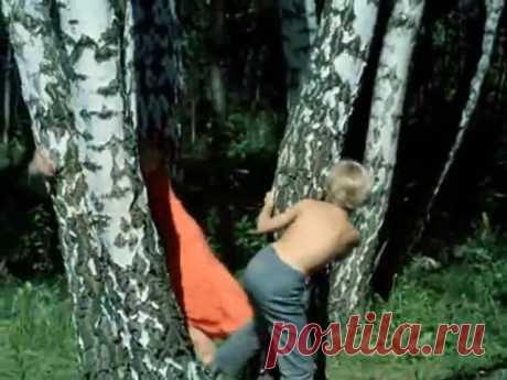 (5) Facebook