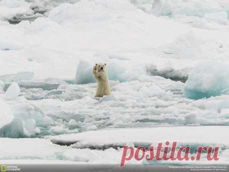 Клуб National Geographic Россия