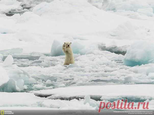 Клуб National Geographic Россия