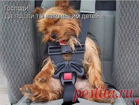 В ожидании ребенка