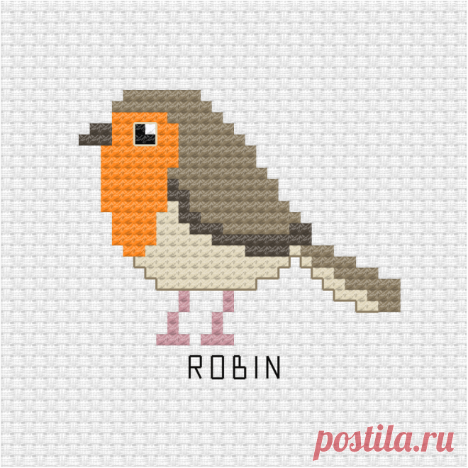 Archivos de animales - Ringcat Design