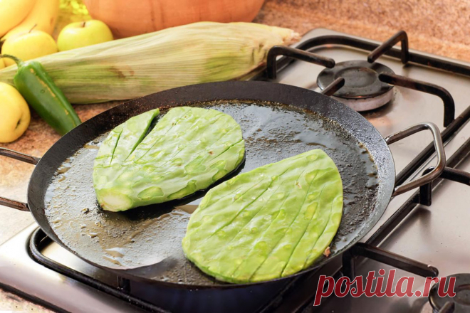 Кактусы — какие они на вкус? Опунция — польза и вред для организма