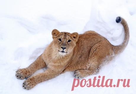 (100+) Мой Мир@Mail.Ru