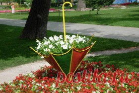 использование старого зонта - а-ля клумба