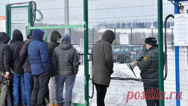 Эксперты назвали временными меры по ужесточению высылки нелегальных мигрантов. Новые меры в отношении мигрантов, в том числе ужесточение режима высылки из страны – это нужная мера с учетом масштабов нелегальной миграции, считает член Совета при президенте России по межнациональным отношениям, член Общественной ...