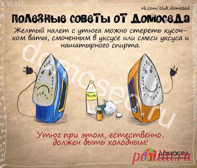 Полезные советы от Домоседа