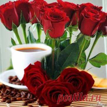 С добрым воскресным утром, друзья!
Пусть оно принесёт вам радость, откроет новый день, а всё что случится сегодня, будет только хорошим, добрым и приятным!