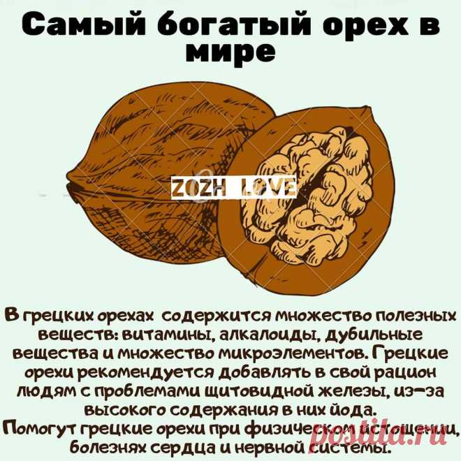 Грецкий орех - самый богатый орех в мире