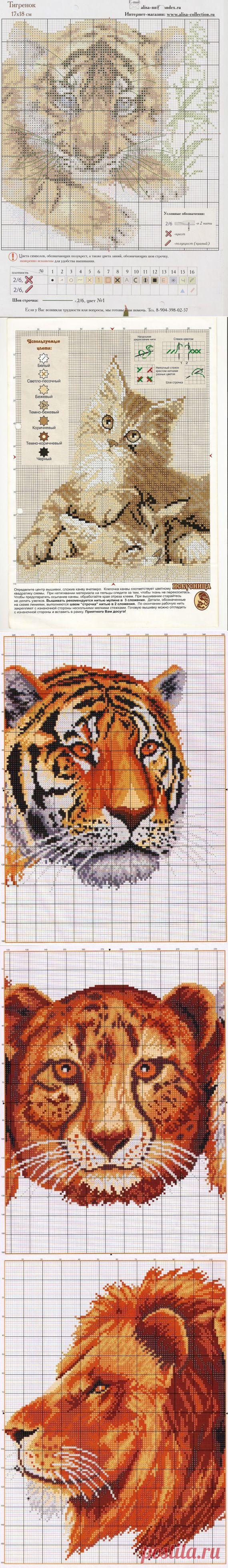 котята и тигры / Схемы вышивки крестиком / PassionForum - мастер-классы по рукоделию