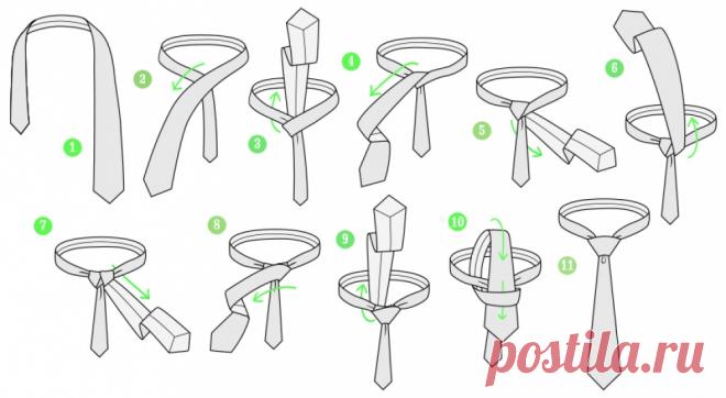 как завязывать галстук: 19 тыс изображений найдено в Яндекс.Картинках