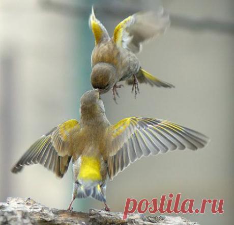 Счастье -- это пространство между несчастьями...  (Дон Маркиз)