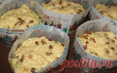 Совершенно потрясающие куличи! Сладкие, нежные, мягкие... 
Рецепт бабушкин, готовит она по этому рецепту уже  десятков лет.
С порции получается очень много куличей, смело делите количество на 2, 3, 4... 
 1 л. топленого молока;
1 кг. сахара;
500 гр. слив. масла;
10 яиц;
3 желтка;
150 гр. свежих дрожжей.
Яйца слегка взбить, масло порезать кусочками, смешать все продукты с теплым молоком и оставить в теплом месте на 8-12 часов (смело оставляйте на ночь).
Затем всыпать: 
1 ч.л. соли;
200 гр. за