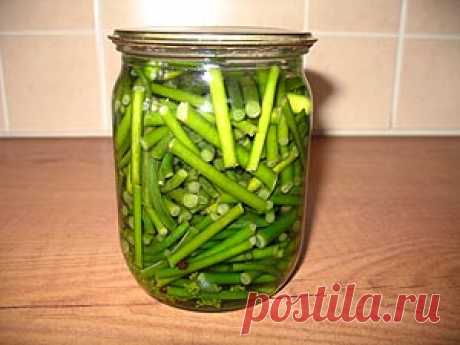 Чесночные стрелки маринованые. (home.eat.azbukakulinara) : Рассылка : Subscribe.Ru