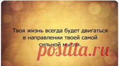 (55) Одноклассники