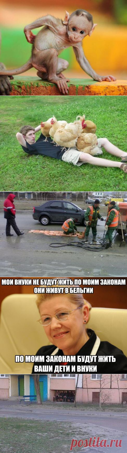 Приколы юмор 18+ (analistics) в Твиттере