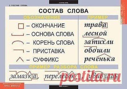 (6) Одноклассники