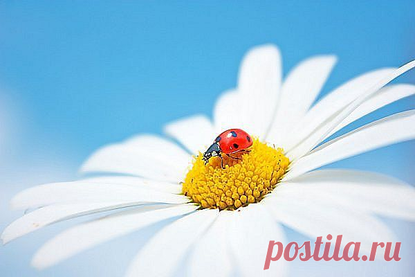 Мой Мир@Mail.Ru