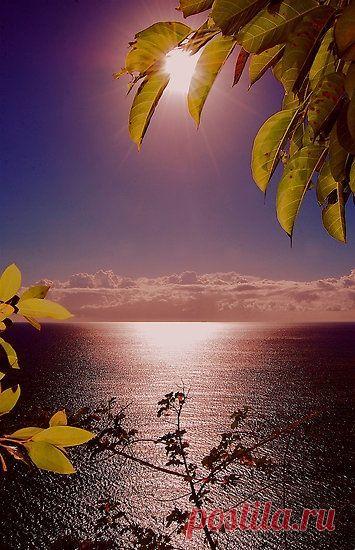 Найдено на сайте cristimoise.net.