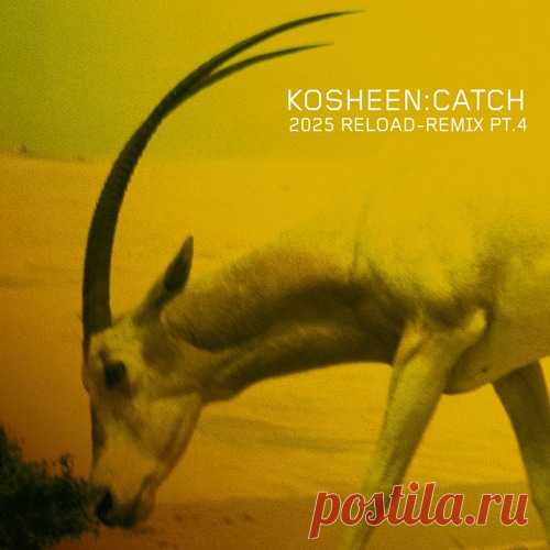 Kosheen – Catch (2025 Reload-Remix, Pt.4) [MOKSHA06DG04] Download Free on Musicvibez.News ,Album Daily update. Kosheen – Catch (2025 Reload-Remix, Pt.4) [MOKSHA06DG04]