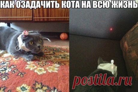 Идеи вашего дома