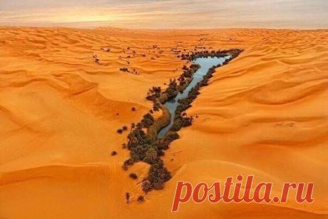 Оазис в Ливийской пустыне. / Взлом логики