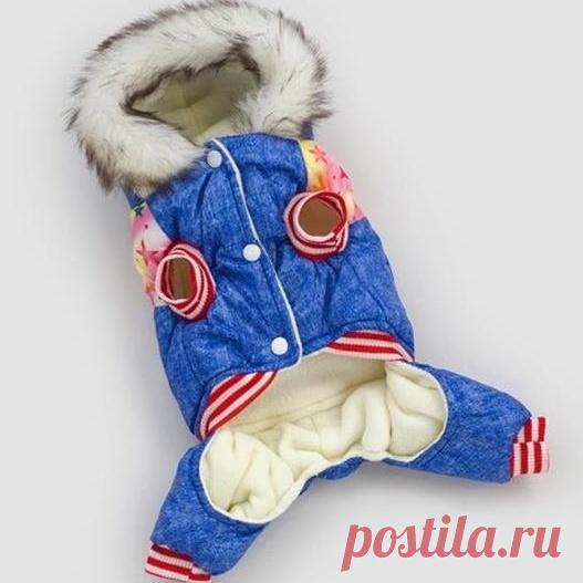Горячая собака одежда пальто теплая зимняя верхняя одежда утолщаются собака костюм Костюмы стеганая куртка товары для животных Кошки Одежда для собак Щенок купить на AliExpress