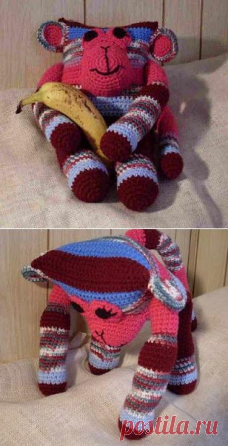 многоцветная обезьяна