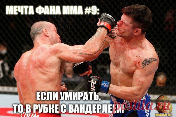 Мой Мир@Mail.Ru