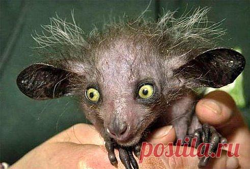 (22) Одноклассники