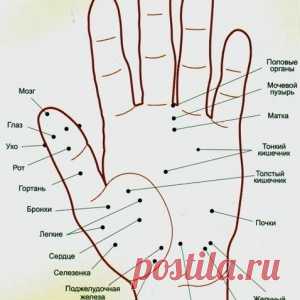 Волшебные точки на теле человека