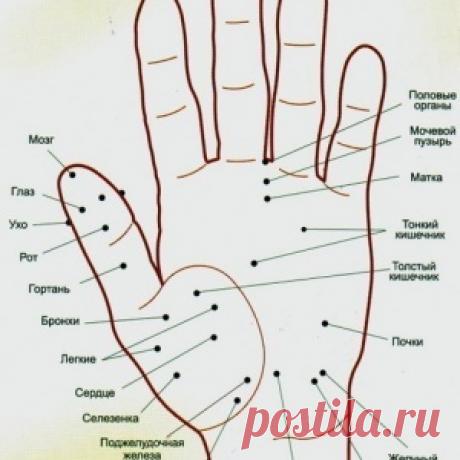 Волшебные точки на теле человека