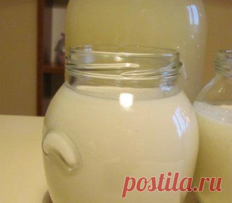 Как приготовить целебный кисель доктора Изотова (личный опыт) | Expertoza